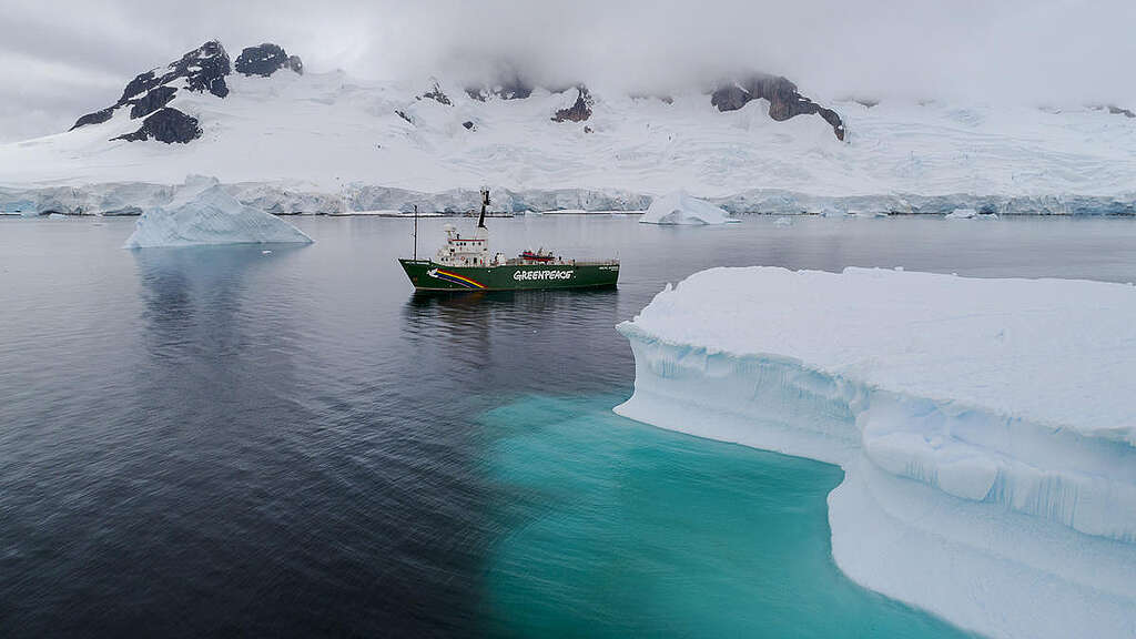 Greenpeace ship the Arctic Sunrise in Charlotte Bay, Antarctic Peninsula. Greenpeace is on a three-month expedition to the Antarctic to carry out scientific research, including seafloor submarine dives and sampling for plastic pollution, to highlight the urgent need for the creation of a 1.8 million square kilometre Antarctic Ocean Sanctuary to safeguard species like whales and penguins. © Christian Åslund / Greenpeace Greenpeace ship the Arctic Sunrise in Charlotte Bay, Antarctic Peninsula. Greenpeace is on a three-month expedition to the Antarctic to carry out scientific research, including seafloor submarine dives and sampling for plastic pollution, to highlight the urgent need for the creation of a 1.8 million square kilometre Antarctic Ocean Sanctuary to safeguard species like whales and penguins. © Christian Åslund / Greenpeace