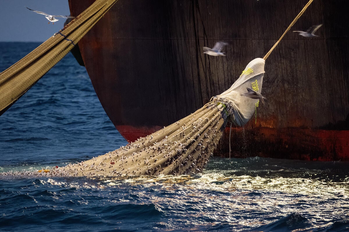 What is Bottom Trawling?